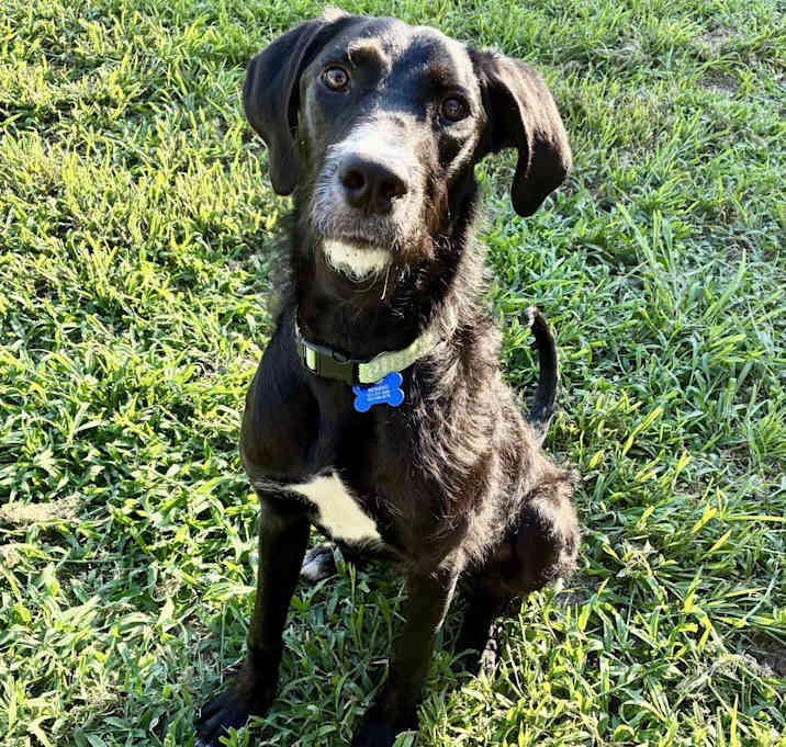 Photo of Sammy