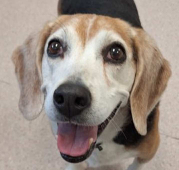 Photo of Wendell
