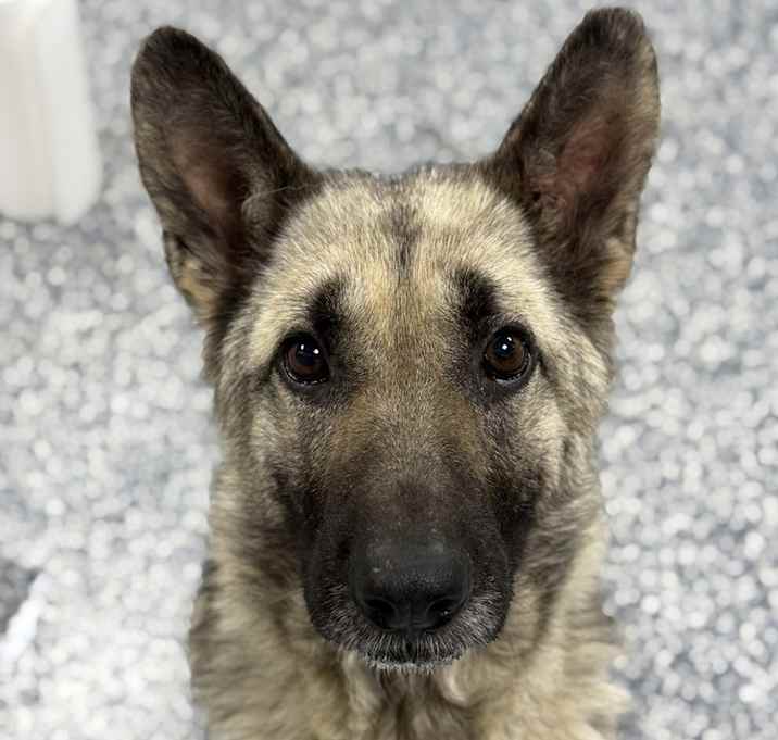 Photo of Betty