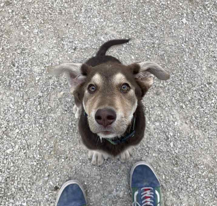 Photo of Ajax