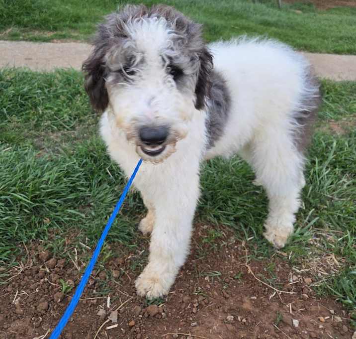 Photo of Rory