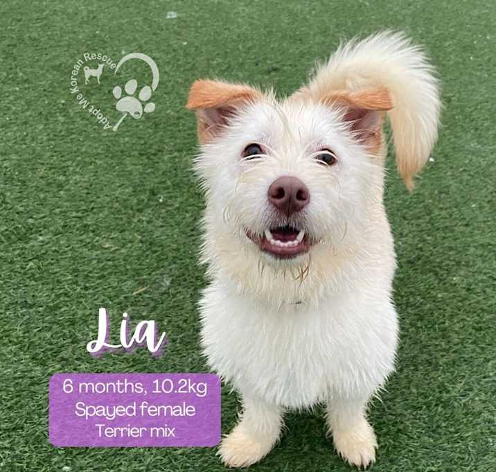 Photo of Lia