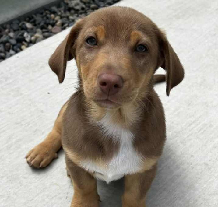Photo of Twix