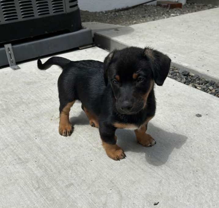 Photo of Hershey