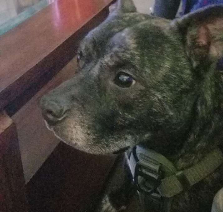 Photo of Zeus