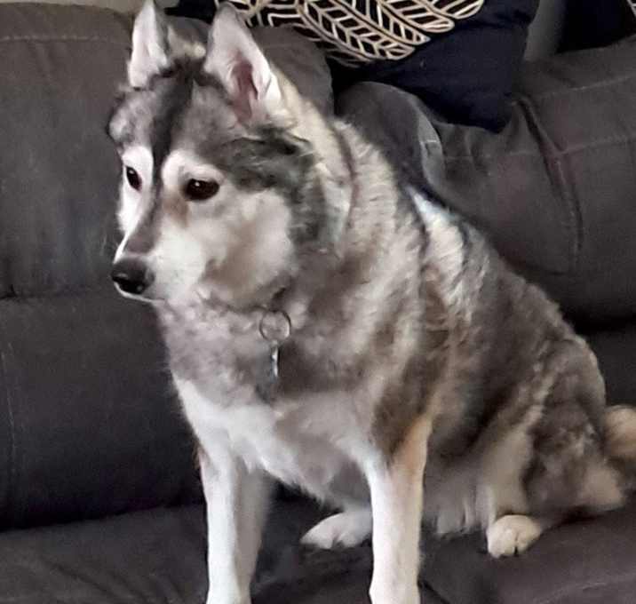 Photo of Mia