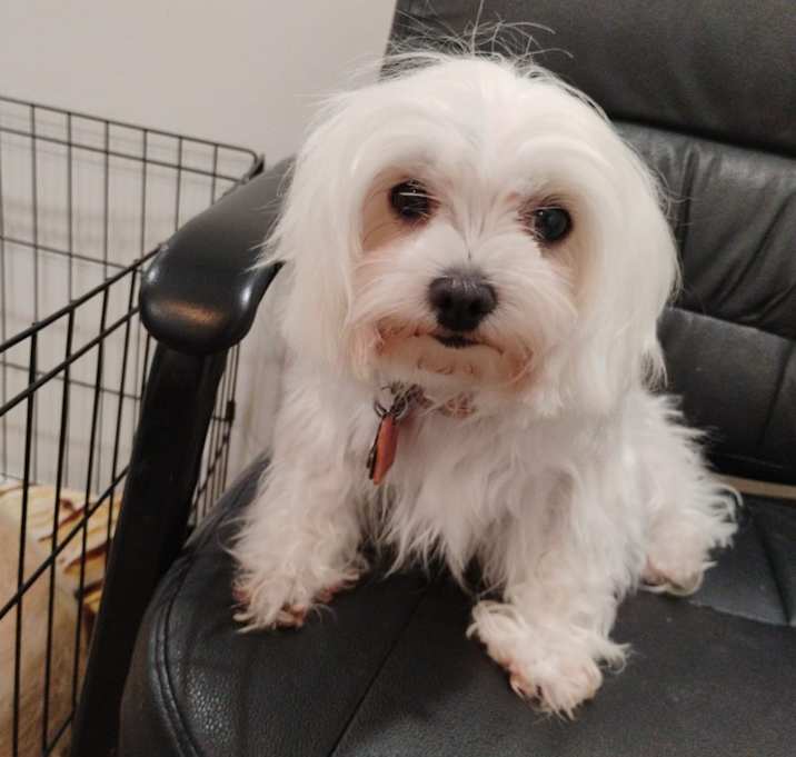 Photo of Roxy