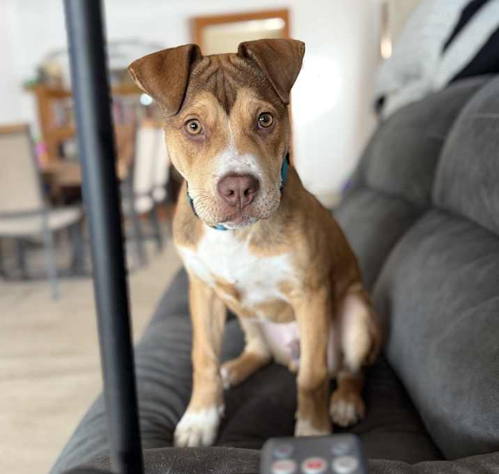Photo of Spud