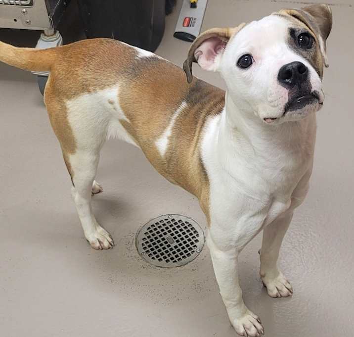 Photo of Sperry