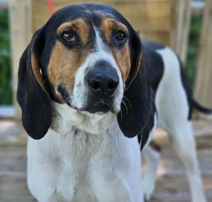 Photo of McGee