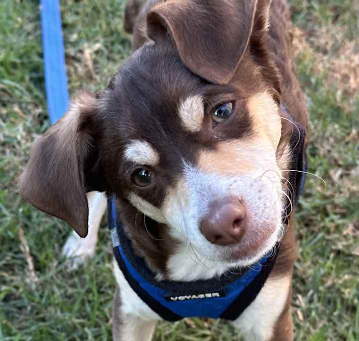 Photo of Tiny