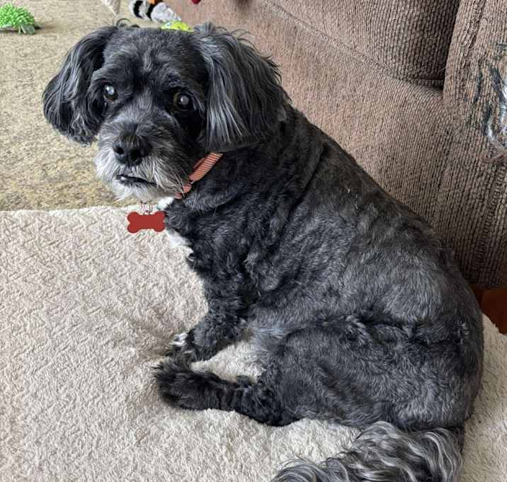 Photo of Charlie
