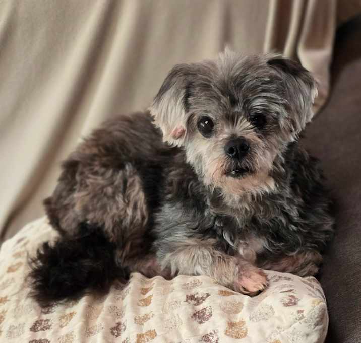 Photo of Norma Jean