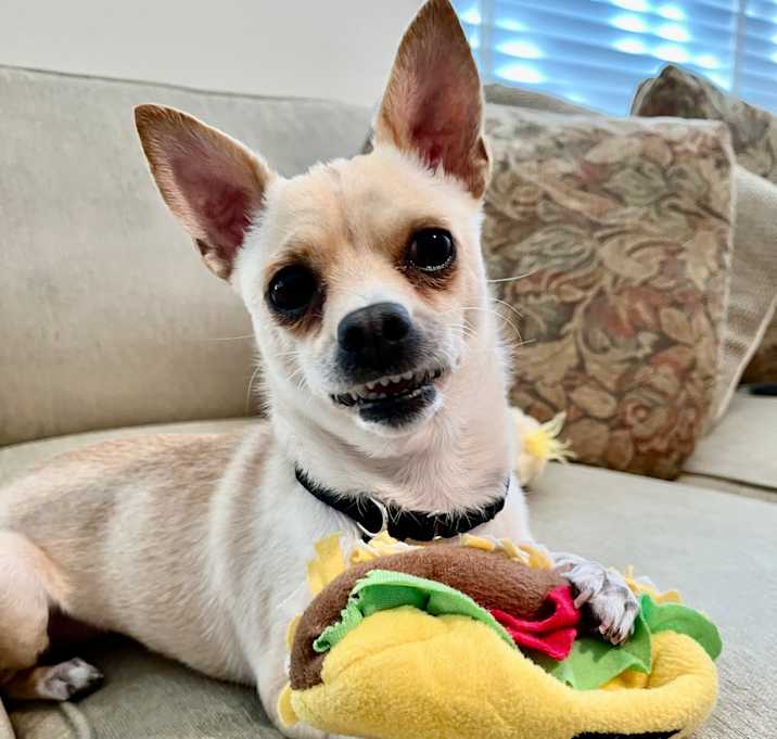 Photo of Juanita