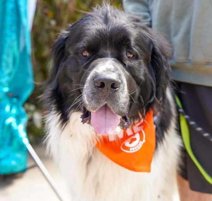 Photo of Boone