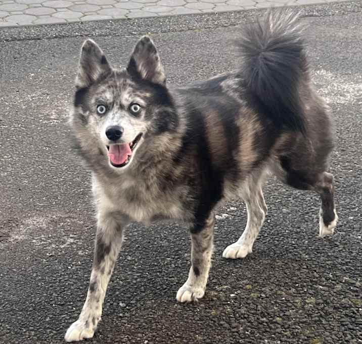 Photo of zuko