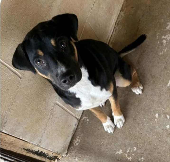Photo of Toto