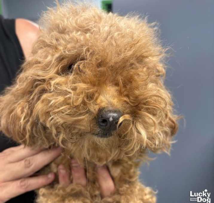 Photo of Murphy