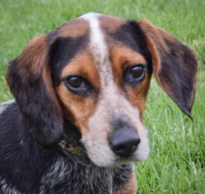 Photo of Waldo
