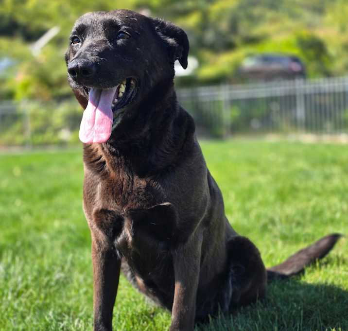 Photo of Meeka
