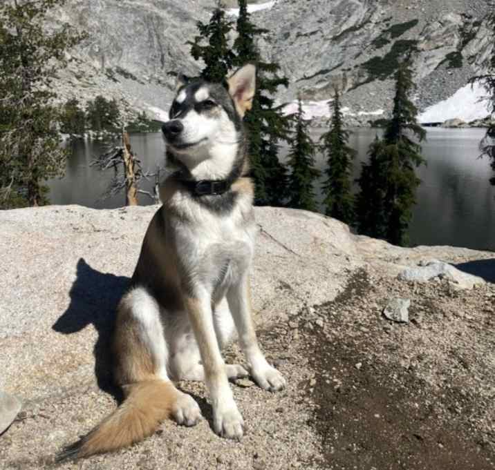 Photo of Maverick