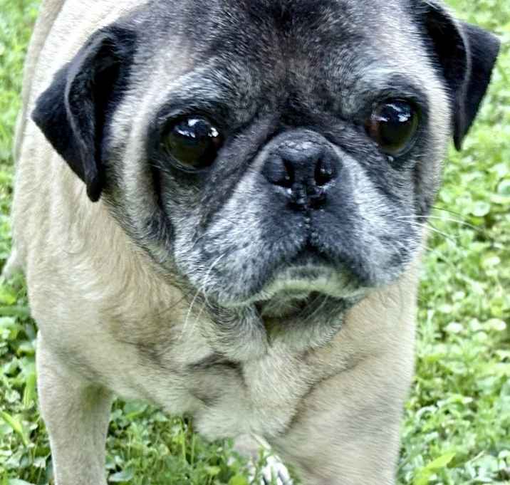 Photo of Mister