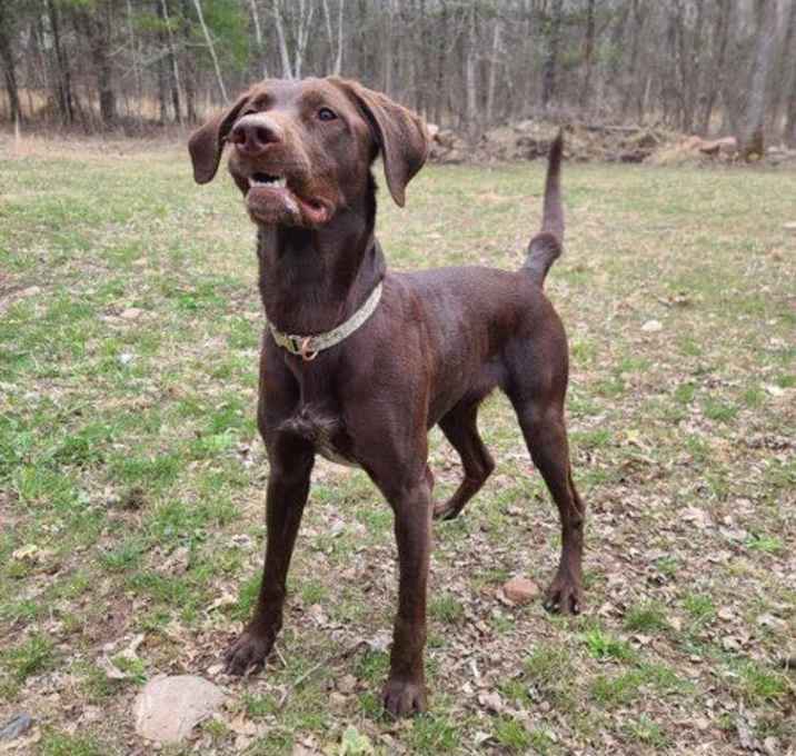 Photo of Zoey D6069