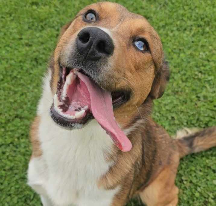 Photo of Buster