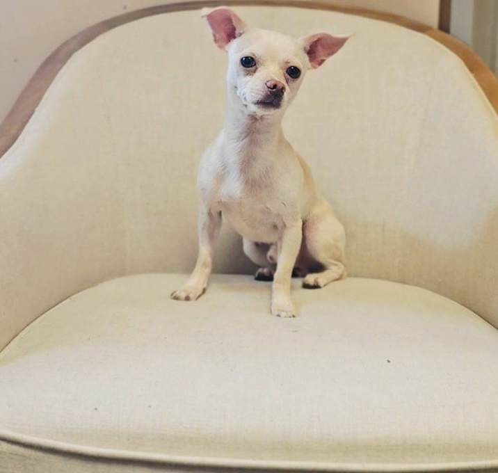 Photo of Hudson