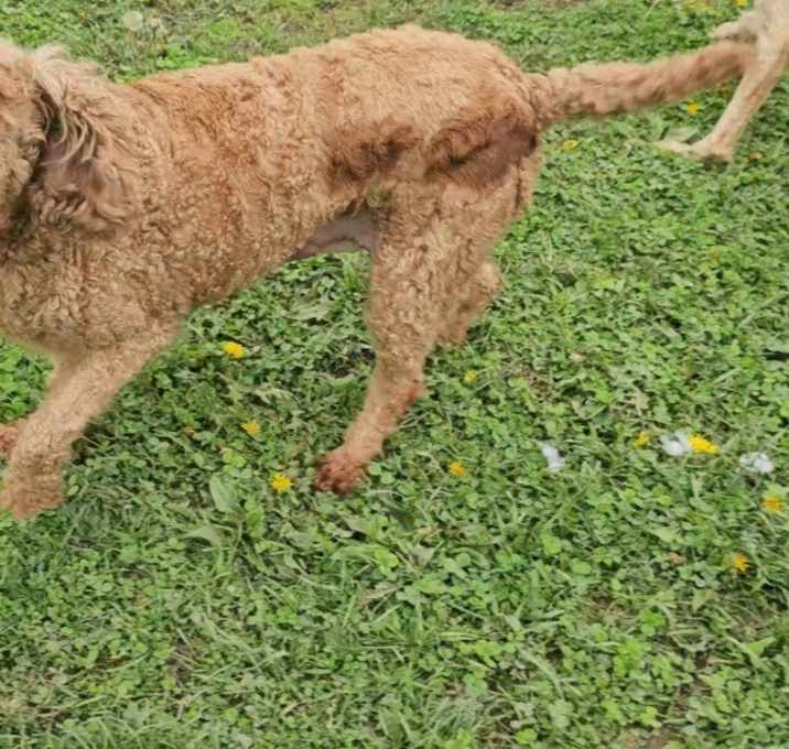 Photo of Macie