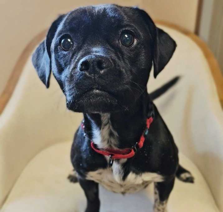 Photo of Rico
