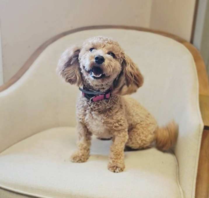 Photo of Tessa