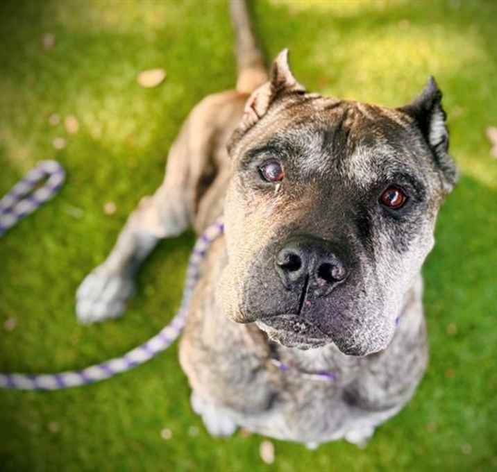 Photo of CROME