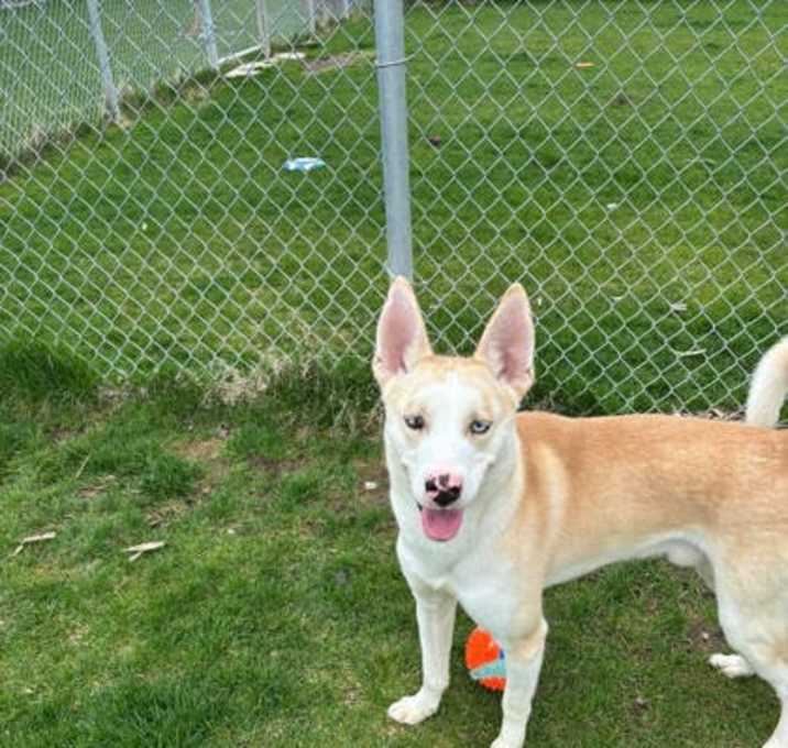 Photo of Fiery