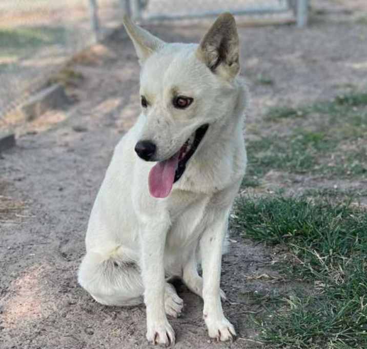 Photo of SNOWFLAKE