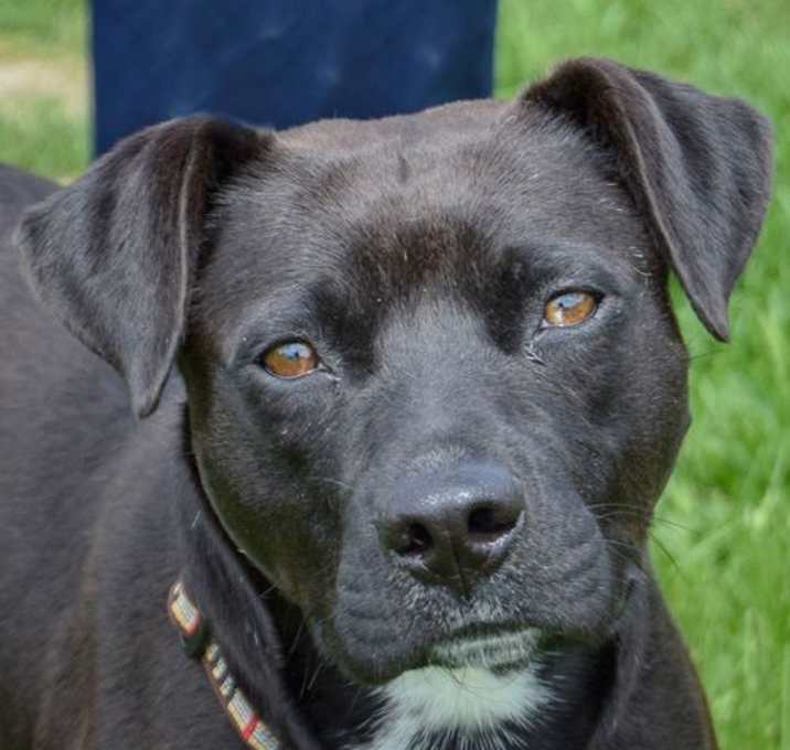 Photo of Belle