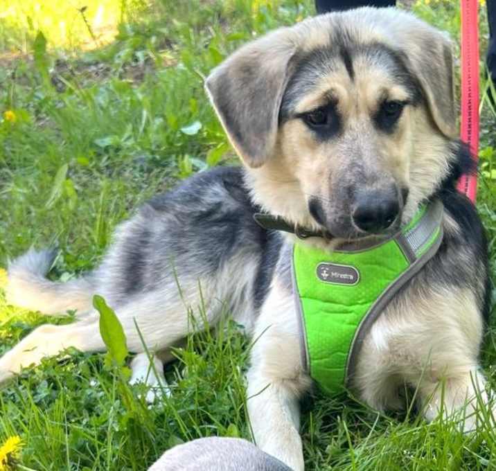 Photo of Kira