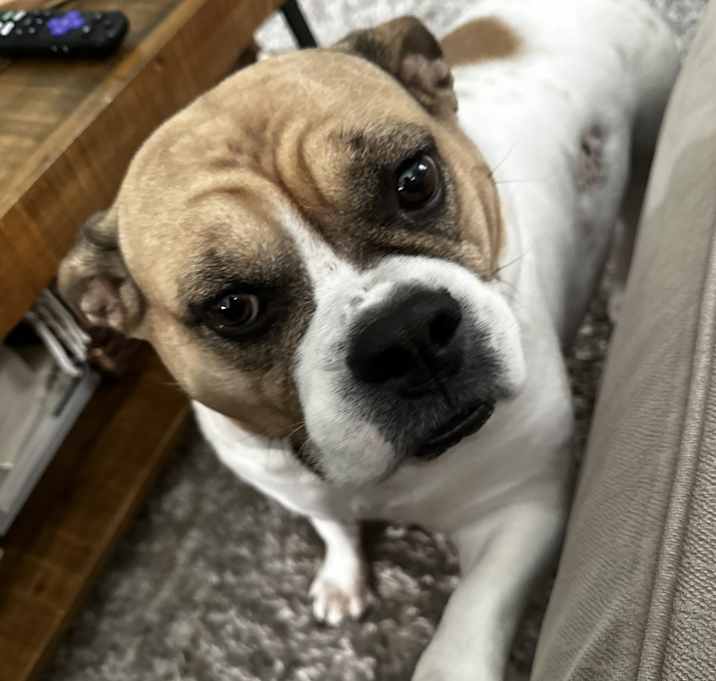 Photo of Lucy