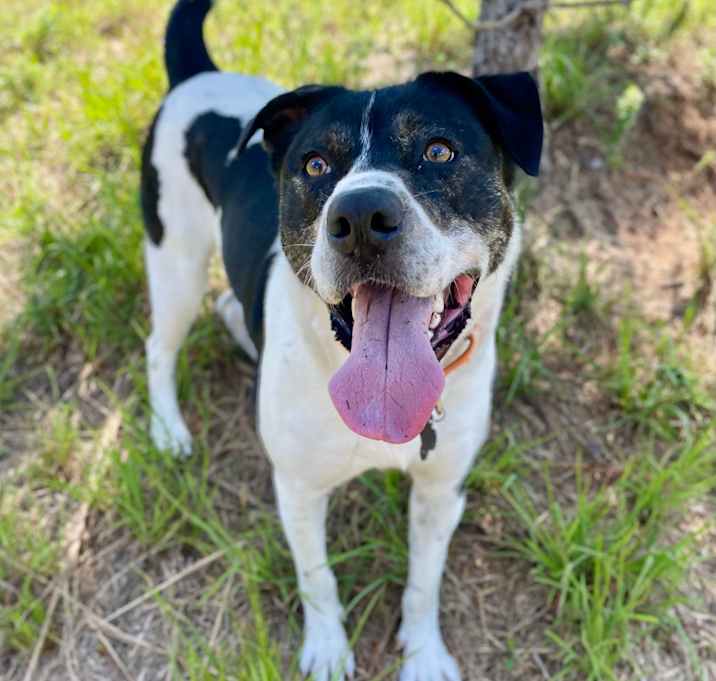 Photo of HM24 Nissan