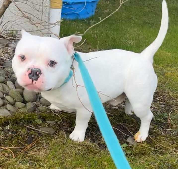 Photo of Olaf