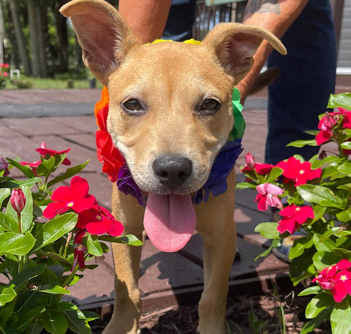 Photo of ZELDA