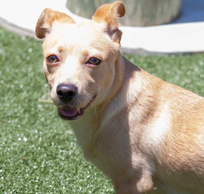 Photo of Nova