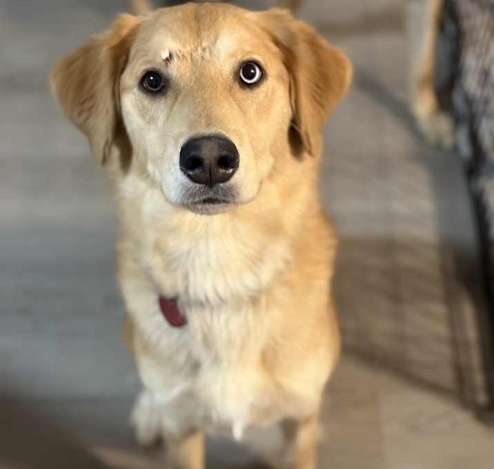Photo of Cassie