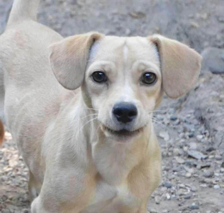 Photo of Bonnie
