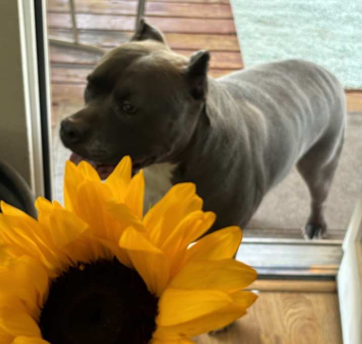 Photo of Zeus