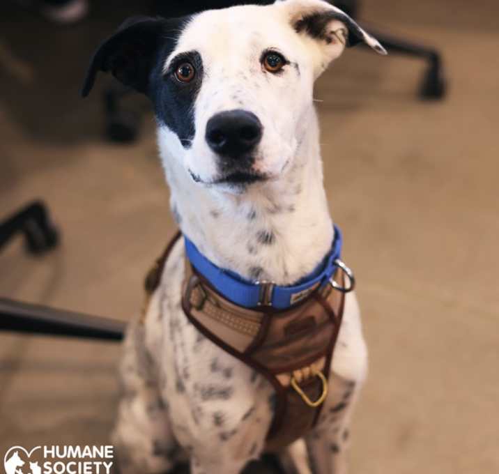 Photo of MAE MAE