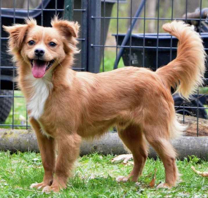 Photo of Clyde