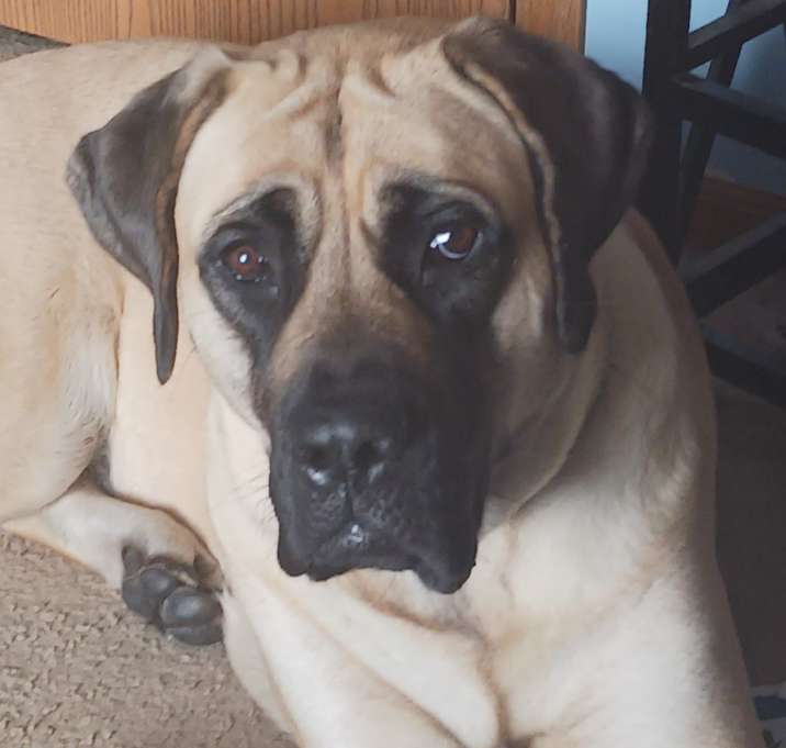 Photo of Daisy