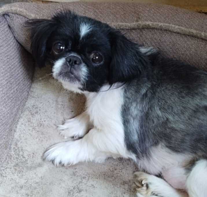 Photo of Meira
