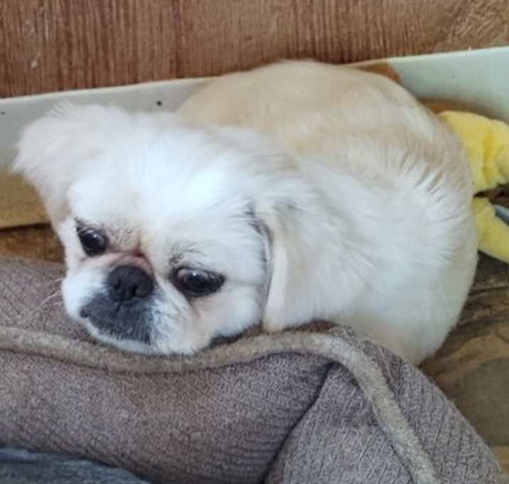 Photo of Nixie